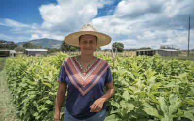 Energía Solar y Desarrollo Rural: Oportunidades para Comunidades Mexicanas
